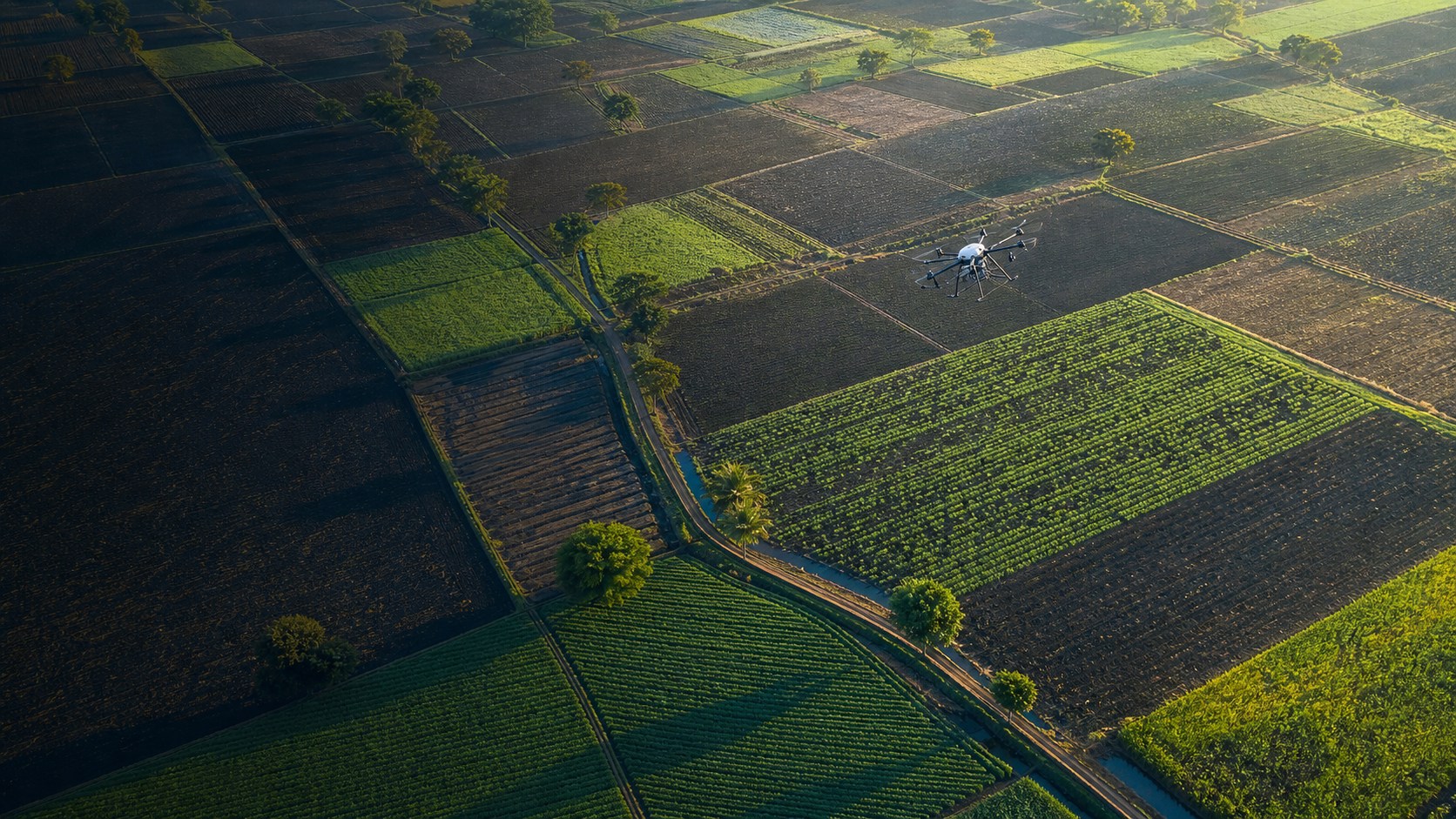 Geospatial survey of agricultural land and surrounding infrastructure